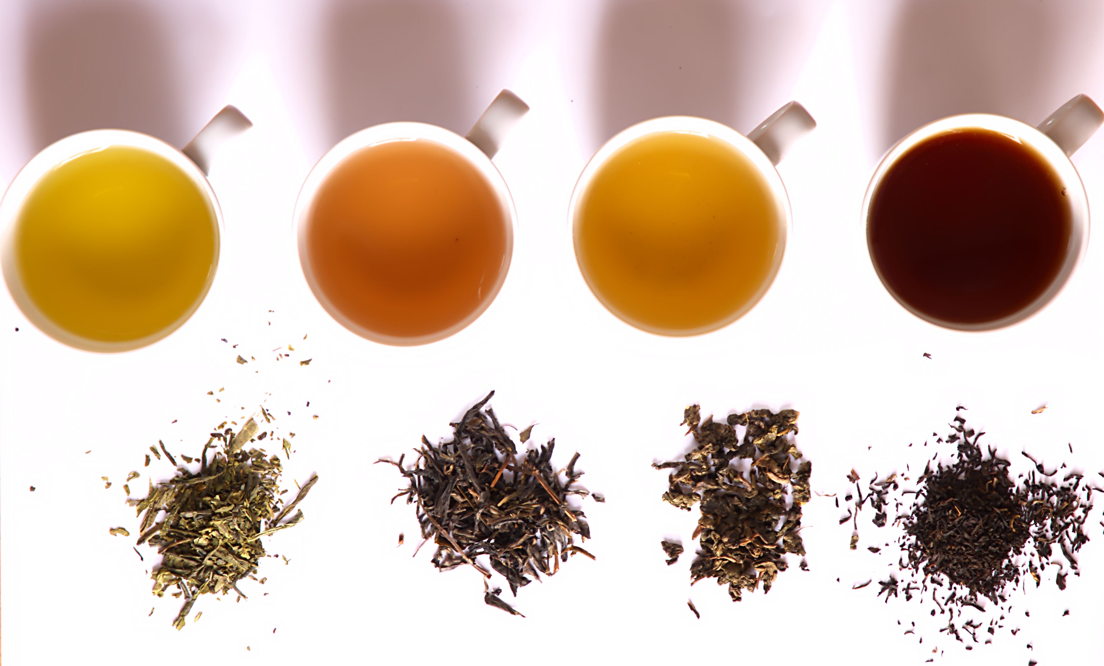 Four cups of tea and their constituent leaves, from above. Steeped hues are golden green, reddish brown, golden brown, and dark brown.