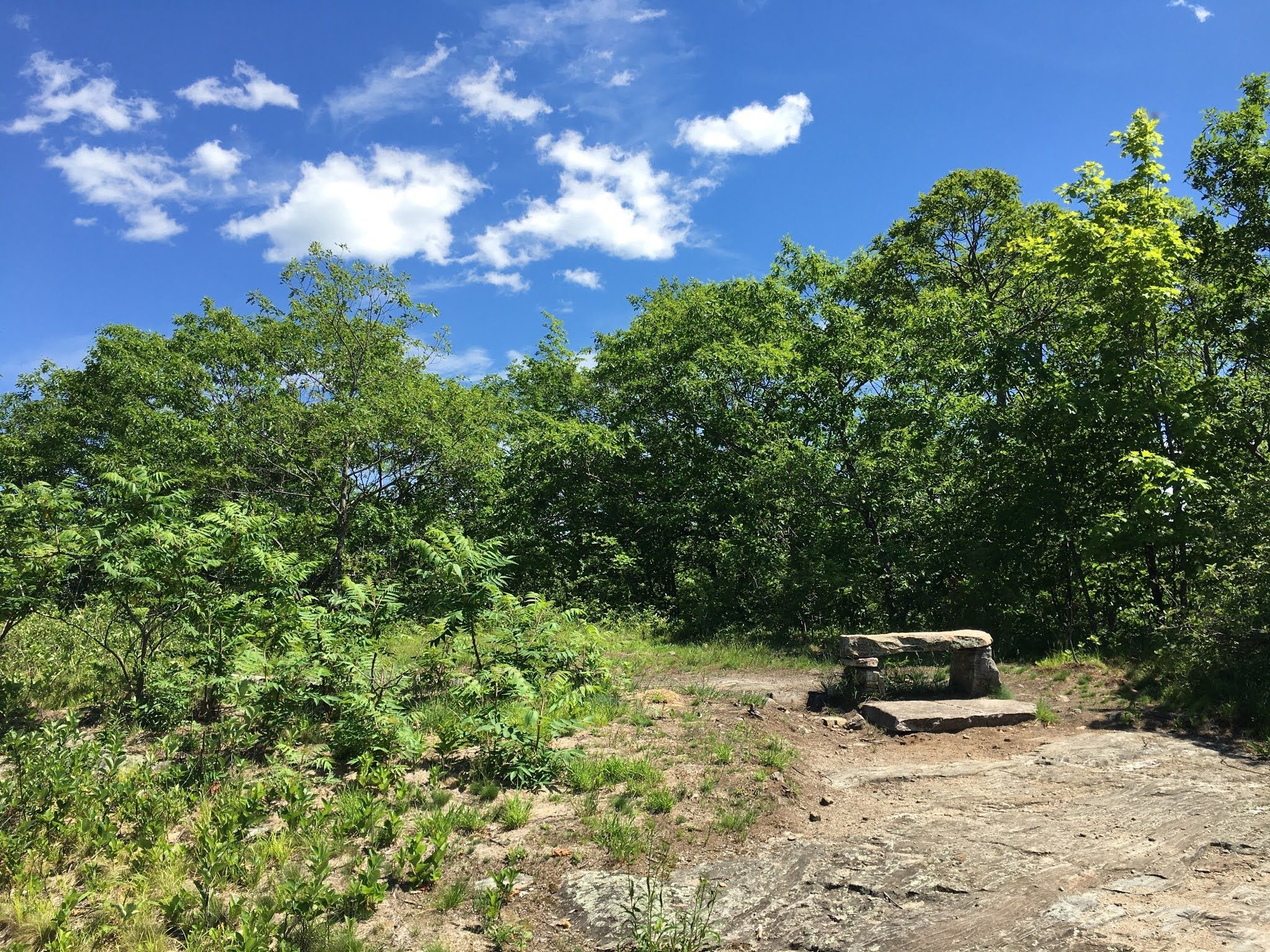 View from the trail while approaching a stone bench within a small clearing surrounded by leafy trees.