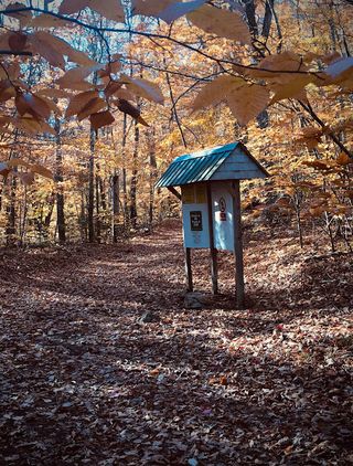 The kiosk near the start of the trail.