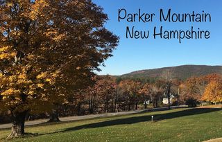 A distant wooded hill against a blue sky. Dominating the left foreground is a large maple tree in brilliant yellow foliage.