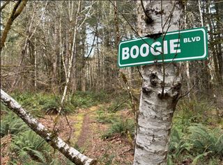 Green sign with white print reading "Boogie Boulevard" attached to a birch tree next to a fern-lined trail through the woods.